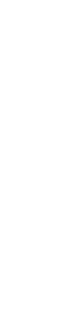 RunWild logo