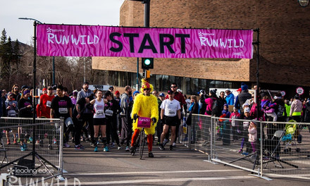 FenceLine Rentals 10K